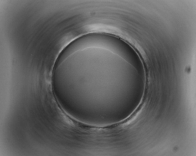 X0000102841529200808181335