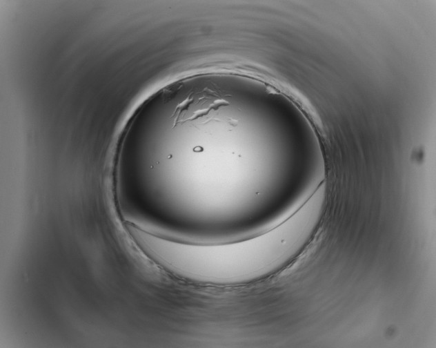 X0000102841530200808181336