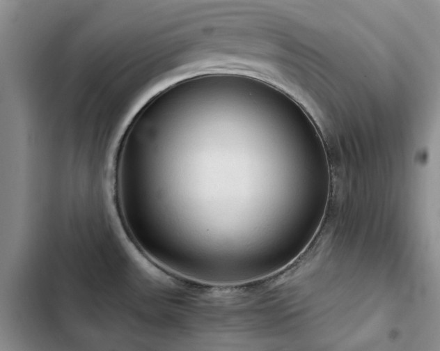 X0000102841531200808181336