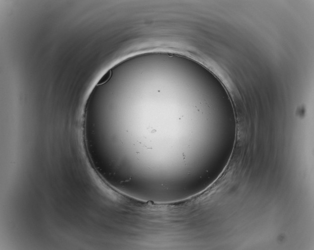 X0000102841532200808181336