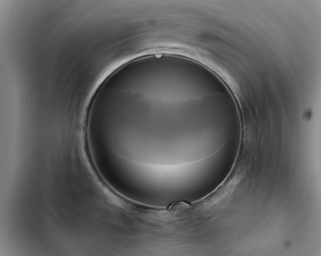 X0000102841533200808181336