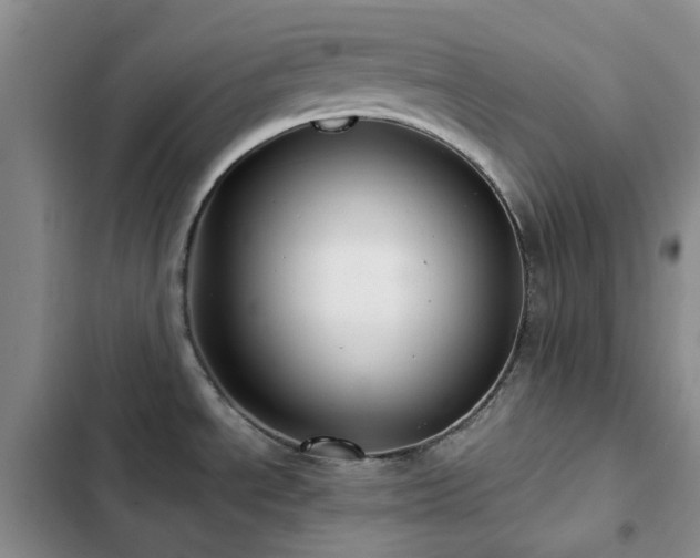 X0000102841534200808181336