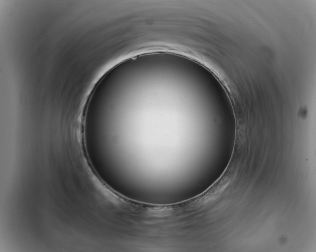 X0000102841535200808181336