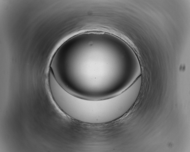 X0000102841536200808181336