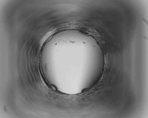 X0000102840003200808251206