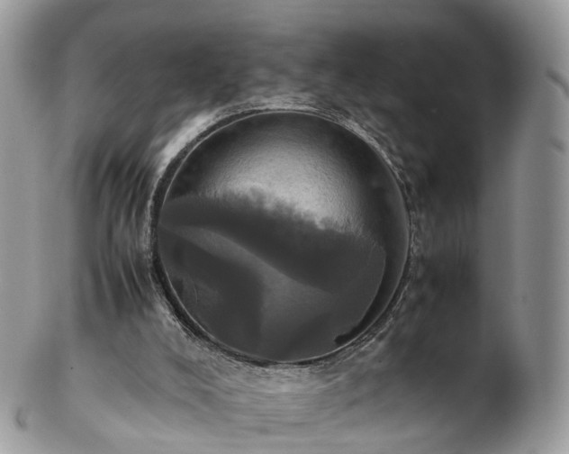 X0000102840008200808251206