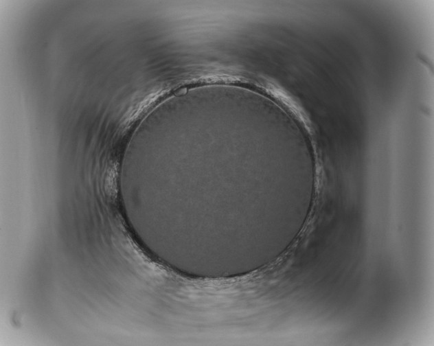 X0000102840009200808251206