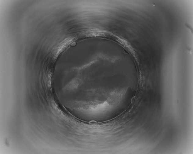 X0000102840010200808251206