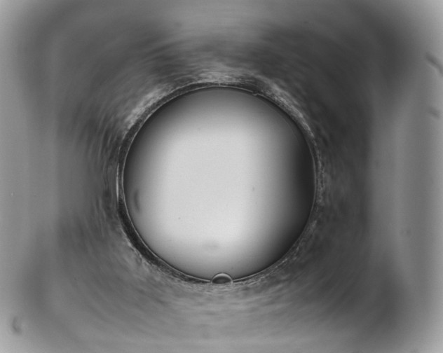 X0000102840011200808251206