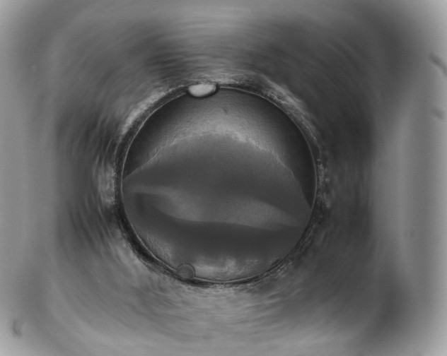 X0000102840012200808251206