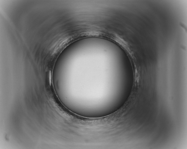 X0000102840013200808251206