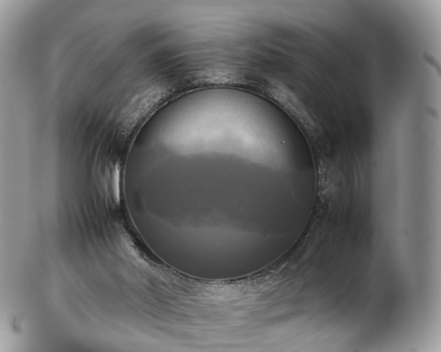 X0000102840014200808251206