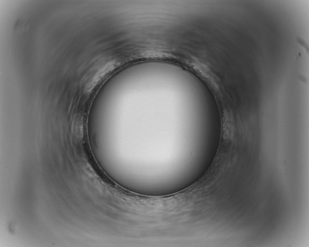 X0000102840015200808251206