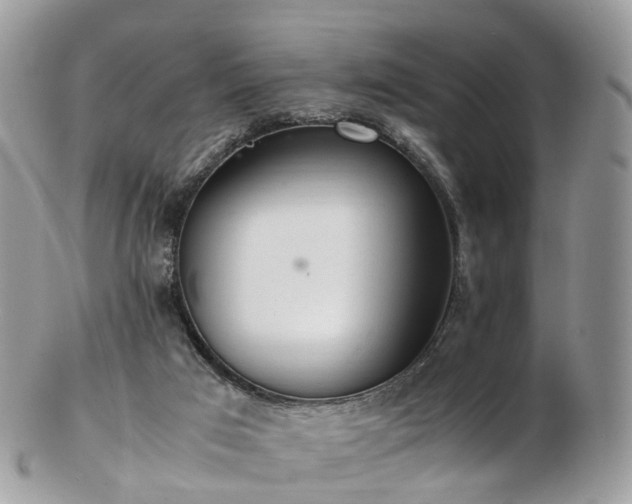 X0000102840017200808251206