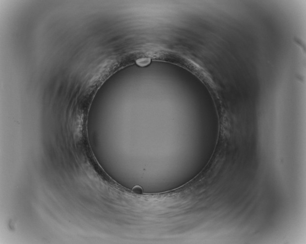 X0000102840018200808251206