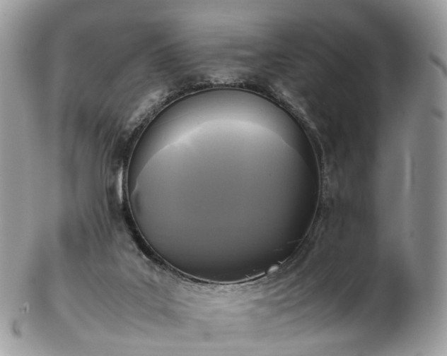 X0000102840019200808251206