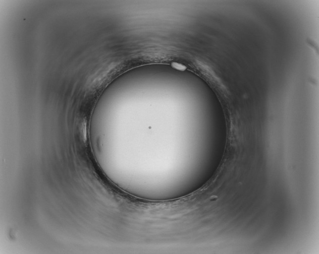 X0000102840021200808251206