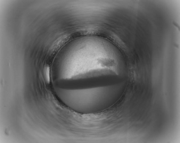 X0000102840022200808251206