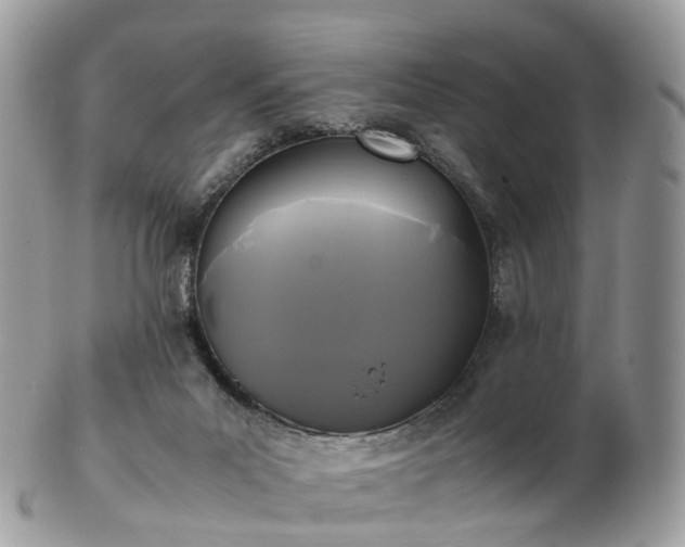 X0000102840023200808251206