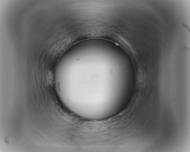 X0000102840025200808251206