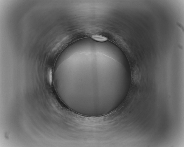 X0000102840027200808251206