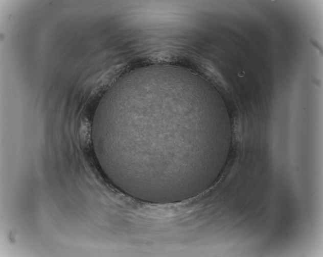 X0000102840029200808251206