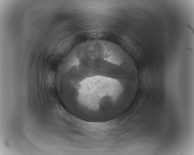 X0000102840034200808251206