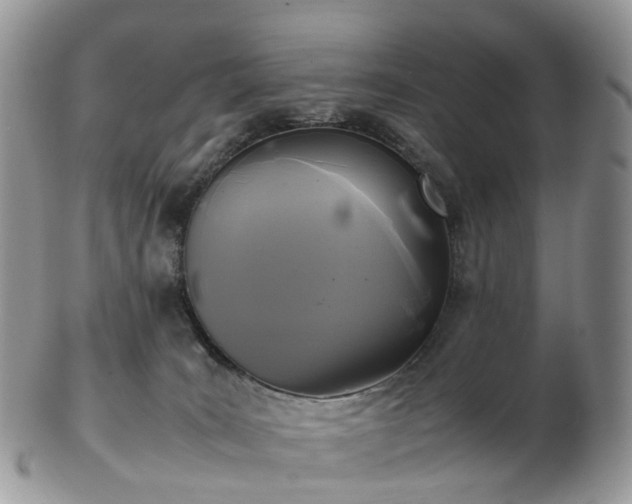 X0000102840035200808251206