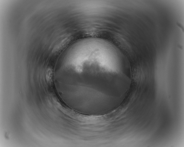 X0000102840036200808251206