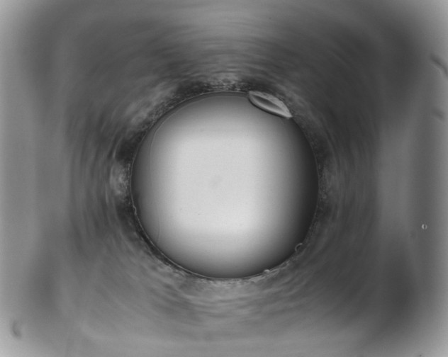 X0000102840037200808251206