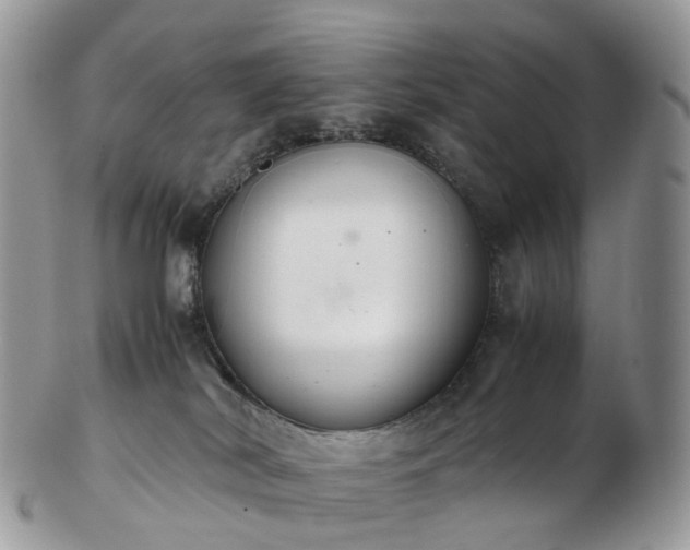 X0000102840038200808251206