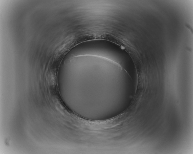 X0000102840039200808251206