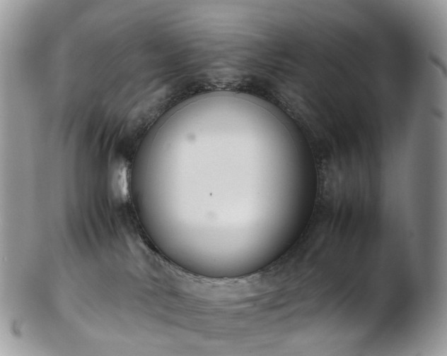 X0000102840042200808251206