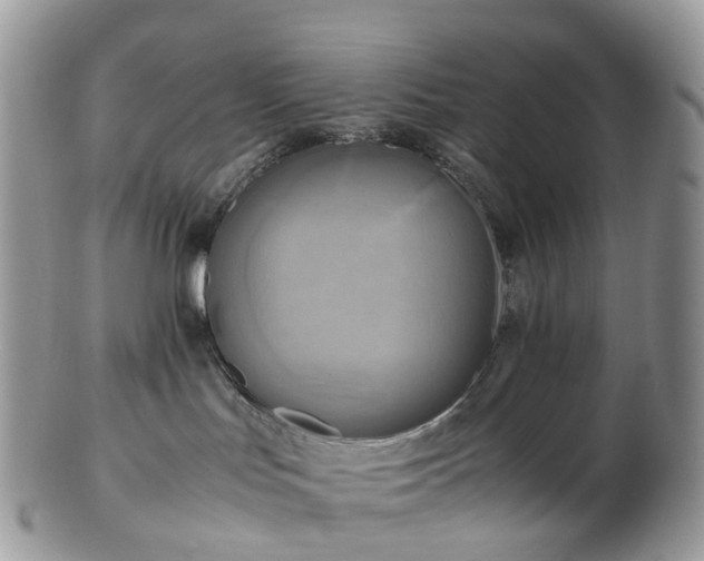 X0000102840047200808251206