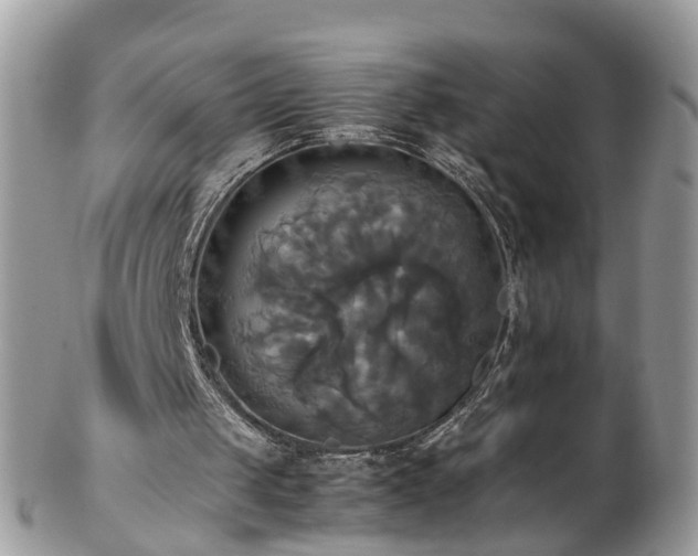 X0000102840049200808251205