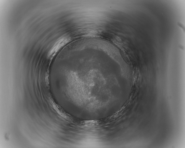 X0000102840050200808251205