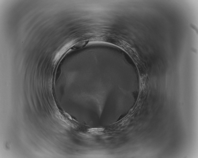 X0000102840051200808251205