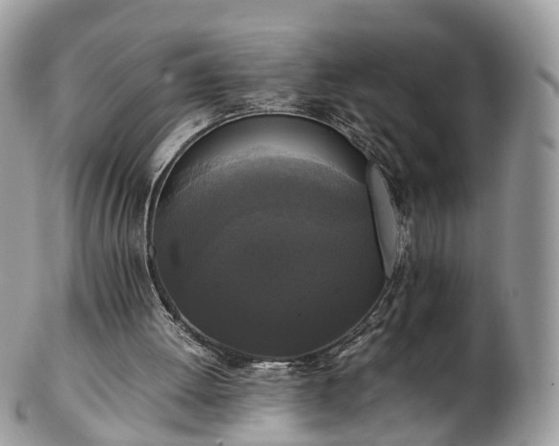 X0000102840052200808251205