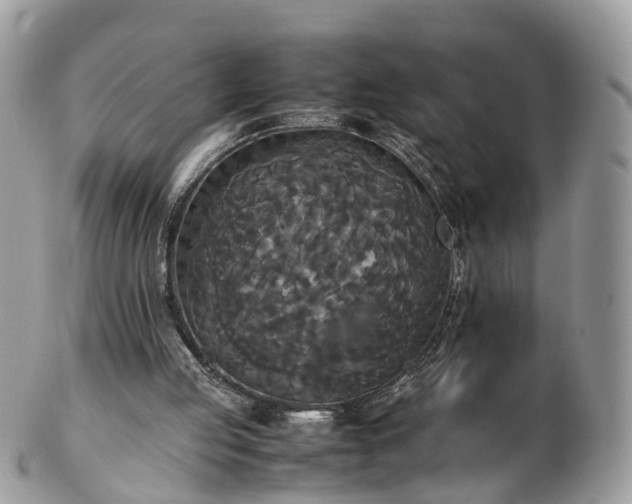 X0000102840053200808251205