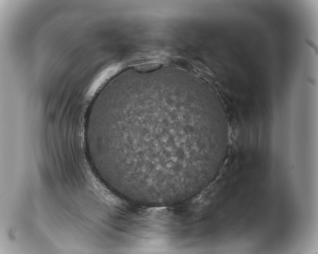 X0000102840054200808251205