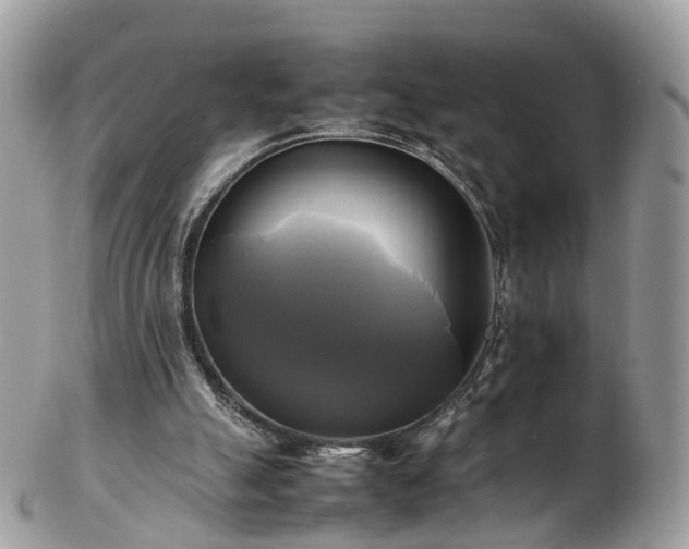 X0000102840055200808251205