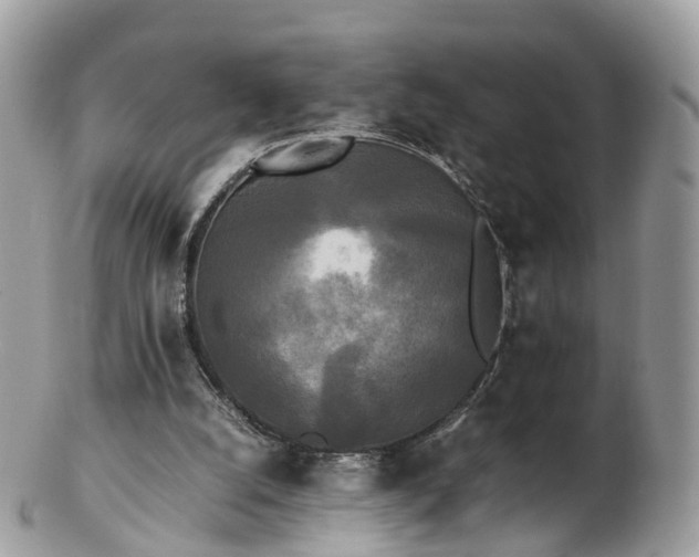 X0000102840056200808251205