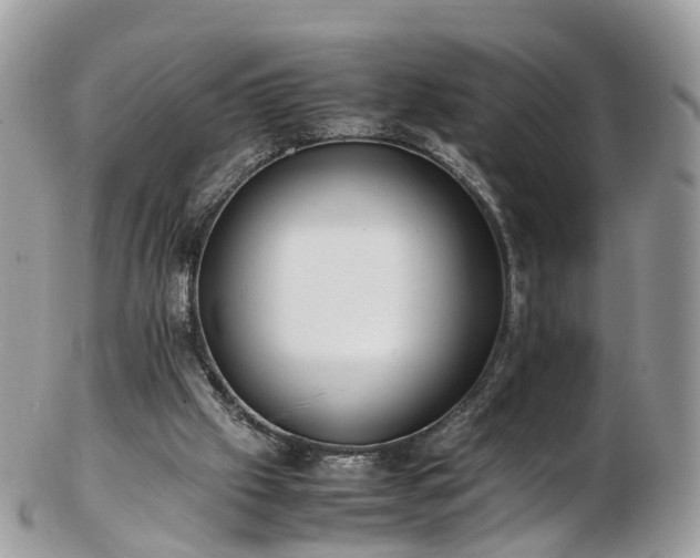 X0000102840057200808251205