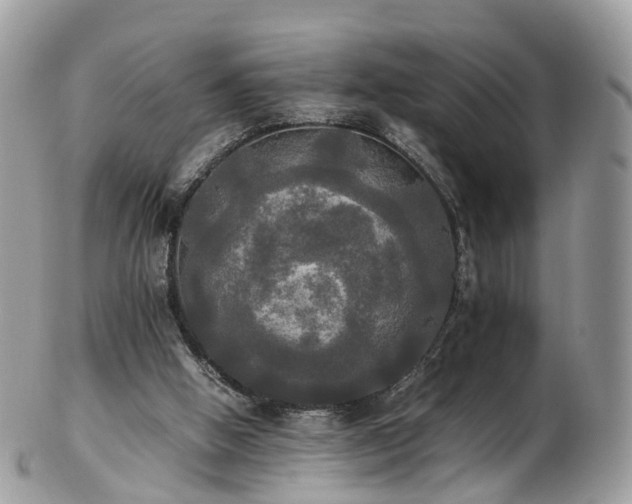 X0000102840058200808251205