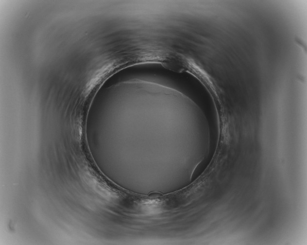 X0000102840059200808251205