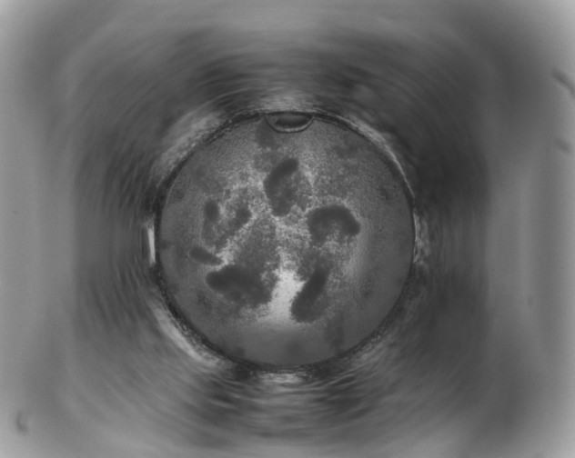 X0000102840061200808251205