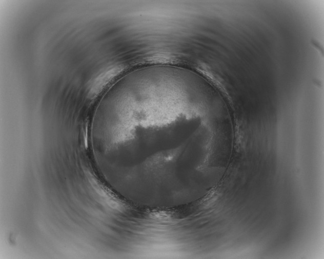 X0000102840062200808251205