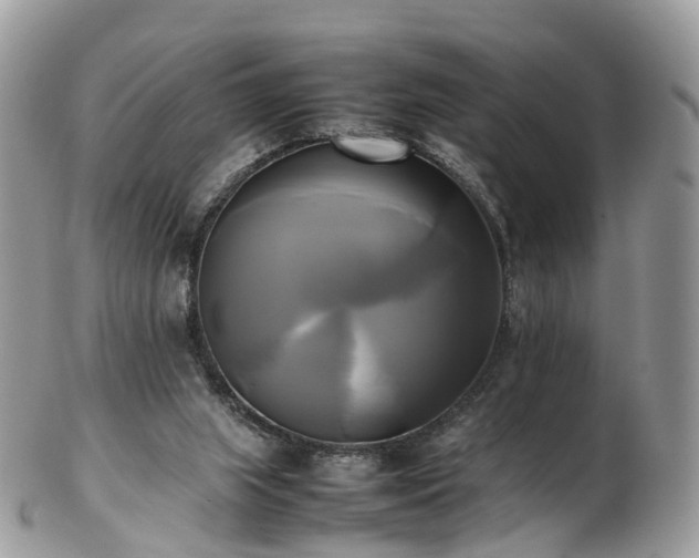 X0000102840063200808251205