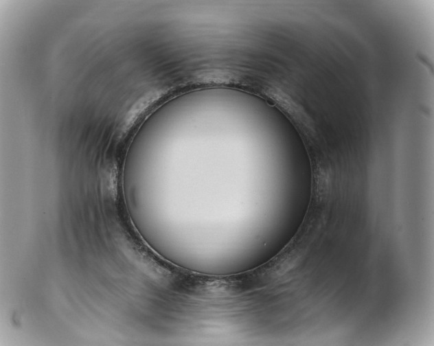 X0000102840064200808251205