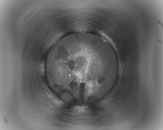 X0000102840065200808251205